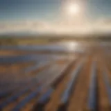 A panoramic view of a solar farm showcasing an array of solar panels under the sun.