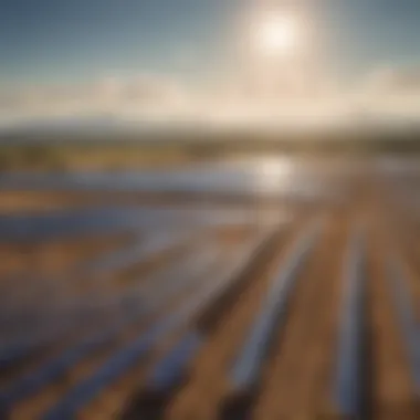 Solar Farm: A Sustainable Energy Solution A panoramic view of a solar farm showcasing an array of solar panels under the sun.